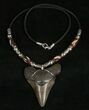 Megalodon Tooth Necklace - tooth #5570-1